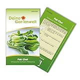 Foto Pak Choi Chinesischer Senfkohl Samen - Brassica rapa - Kohlsamen - Gemüsesamen - Saatgut für 60 Pflanzen, bester Preis 1,99 € (0,03 € / stück), Bestseller 2024