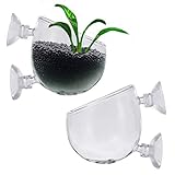 Foto 2 piezas Maceta de Vidrio para Plantas de Acuario, Soporte para Plantas de Acuario con Ventosa, Copa de Cristal en Vivo para Plantas de Acuario, para Acuario de Acuario, mejor precio 10,99 €, éxito de ventas 2024