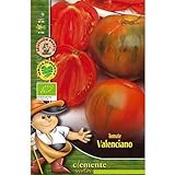 Foto Semillas ecológicas de Tomate Valenciano, mejor precio 4,42 €, éxito de ventas 2024