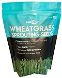 Photo Wheatgrass Seeds | Non GMO | Grown in USA Wheat Grass Seeds | from Our Farm to Your Table (1 Pound), best price $9.95, bestseller 2024