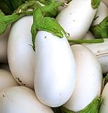 Photo David's Garden Seeds Eggplant White Star (White) 25 Non-GMO, Hybrid Seeds, best price $3.45, bestseller 2025