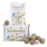 Foto Handgemachte Blumenmurmeln 15er Pack bunte Samenbomben Bienenwohl | ökologische Samenbombe mit über 50 Arten Blumen & Kräutern | Saatbomben Blumensamen Geschenk, bester Preis 9,95 € (0,66 € / stück), Bestseller 2025