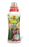 Foto Compo Cuidado de Las Plantas de Interior y de terraza Hierro líquido 500 ml, Multicolor, mejor precio 5,94 €, éxito de ventas 2025