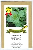 Foto Pfefferminze - Mentha piperiata - 1500 Samen, bester Preis 1,95 €, Bestseller 2025