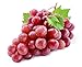 20+ Red Concord Grape Seeds - Grow Grape Vines for Wine Making, Fruit Dessert - Made in USA, Ships from Iowa. new 2024
