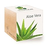 Foto Feel Green 296244 Ecocube Aloe Vera, Nachhaltige Geschenkidee (100% Eco Friendly), Grow Your Own/Anzuchtset, Pflanzen Im Holzwürfel, Made in Austria, bester Preis 8,59 €, Bestseller 2024