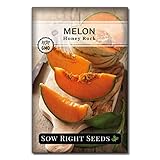 Photo Sow Right Seeds - Honey Rock Melon Seed for Planting  - Non-GMO Heirloom Packet with Instructions to Plant a Home Vegetable Garden, best price $4.99, bestseller 2024