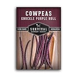 Photo Survival Garden Seeds - Knuckle Purple Hull Cowpeas Seed for Planting - Packet with Instructions to Plant and Grow Delicious & Nutritious Peas in Your Home Vegetable Garden - Non-GMO Heirloom Variety, best price $4.99, bestseller 2024