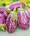 Exotic Listada de Gandia Eggplant Seed for Planting | 50+ Seeds | Ships from Iowa, USA | Non-GMO Exotic Heirloom Vegetables | Great Gardening Gift new 2024