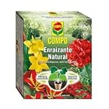 Foto COMPO Enraizante natural, Para esquejes, semillas y bulbos, Apto para agricultura ecológica, 5 sobres de 10 g, mejor precio 7,00 €, éxito de ventas 2025