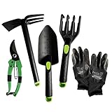 Foto Juego herramientas jardineria de 5 piezas: incluye rastrillo, pala trasplantadora, azada pequeña, tijeras de podar y guantes. Set jardin exterior de fibra de vidrio ideal para huerto urbano., mejor precio 14,99 €, éxito de ventas 2024