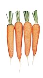Photo Burpee Touchon Carrot Seeds 3500 seeds, best price $6.57, bestseller 2024