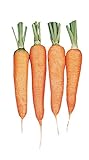 Photo Burpee Touchon Carrot Seeds 3500 seeds, best price $6.57, bestseller 2024