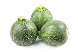 Photo Round Zucchini Summer Squash Seeds, aka: Eight Ball Zucchini, 40 Heirloom Seeds Per Packet, Non GMO Seeds, Botanical Name: Cucurbirta pepo, Isla's Garden Seeds, best price $5.89 ($0.15 / Count), bestseller 2024