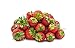 Seascape Everbearing Strawberry Bare Roots Plants, 25 per Pack, Hardy Plants Non GMO new 2024