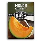 Photo Survival Garden Seeds - Hale's Best Melon Seed for Planting - Grow Juicy Cantaloupe for Eating - Packet with Instructions to Plant in Your Home Vegetable Garden - Non-GMO Heirloom Variety, best price $4.99, bestseller 2025