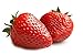 MOCCUROD 150pcs Giant Strawberry Seeds Evergreening Plant Fruit Seeds Sweet and Delicious new 2024
