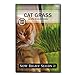 Sow Right Seeds - Cat Grass Seed for Planting - Easy to Grow Oat Grass That Your Cat Will Love - Non-GMO - Full Instructions - Great Gardening Gift (1 Packet) new 2024