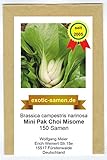 Foto Baby Pak Choi - Mini Pak Choi - Misome - Winterhart - 150 Samen, bester Preis 1,95 € (0,01 € / stück), Bestseller 2024