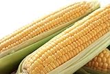 Photo Golden Jubilee Yellow Sweet Corn Seeds, 30+ Seeds Per Packet, (Isla's Garden Seeds), Non GMO & Heirloom Seeds, Botanical Name: Corn Zea mays, best price $5.99 ($0.20 / Count), bestseller 2024