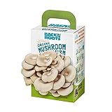 Photo Back to the Roots Organic Mini Mushroom Grow Kit, Harvest Gourmet Oyster Mushrooms In 10 days, Top Gardening Gift, Holiday Gift, & Unique Gift, best price $12.94, bestseller 2024