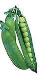 Photo Burpee Easy Peasy Pea Seeds 200 seeds, best price $7.13 ($0.04 / Count), bestseller 2024