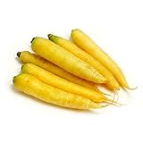 Photo Mello Yellow Carrot Seeds, 100 Seeds Per Packet, Non GMO Seeds, Botanical Name: Daucus carota, Isla's Garden Seeds, best price $5.98 ($0.06 / Count), bestseller 2025