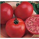 Photo Burpee Big Boy Tomato Seeds (20+ Seeds) | Non GMO | Vegetable Fruit Herb Flower Seeds for Planting | Home Garden Greenhouse Pack, best price $4.69 ($0.23 / Count), bestseller 2024