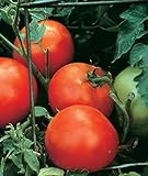 Photo Burpee Celebrity' Hybrid | Slicing Red Tomato | Disease-Resistant, 35 Seeds, best price $7.17 ($0.20 / Count), bestseller 2024