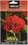 Foto Clavel Chabaud ROJO, mejor precio 1,88 €, éxito de ventas 2024