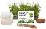 Photo Cat Grass Growing Kit - 3 Pack Organic Seed, Soil and BPA Free containers (Non GMO). All of Our Seed is Locally sourced!, best price $14.21 ($4.74 / Count), bestseller 2024