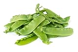 Photo Oregon Giant Snow Pea Seeds, best price $5.49, bestseller 2025