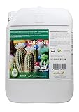 Foto CULTIVERS Fertilizante Cactus y Crasas Ecológico de 10 L. Abono Líquido de Crecimiento Saludable con Mayor Floración. Plantas más Resistente a Enfermedades. Abono 100% Orgánico y Natural, mejor precio 47,95 €, éxito de ventas 2025