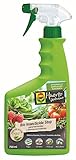 Foto COMPO Bio Insecticida Stop, Insecticida para hortícolas y plantas aromáticas, Apto para agricultura ecológica, Control de plagas en hortalizas y plantas aromáticas, 750 ml, mejor precio 7,35 €, éxito de ventas 2025