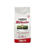 Photo Pennington The Rebels Tall Fescue Grass Seed Blend, 7 Pounds, best price $19.83 ($0.18 / Ounce), bestseller 2024