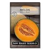 Photo Sow Right Seeds - Hales Best Melon Seed for Planting  - Non-GMO Heirloom Packet with Instructions to Plant a Home Vegetable Garden, best price $4.99, bestseller 2024