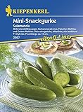 Foto Gurkensamen - Salatgurke Salamanda von Kiepenkerl, bester Preis 3,95 €, Bestseller 2024