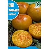 Foto Semillas de Tomate ananas, mejor precio 1,62 €, éxito de ventas 2025