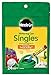 Miracle-Gro Watering Can Singles All Purpose Water Soluble Plant Food, Includes 24 Pre-Measured Packets new 2024