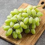 Foto 20 Piezas Semillas De Uva Plantación De Semillas De Frutas De Piel Verde En Interiores Y Exteriores Cuidado Fácil Para Frutas Jardín Decorativo Patio Balcón, mejor precio 4,99 €, éxito de ventas 2025