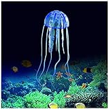 Foto FuninCrea Decoraciones de Acuario de Medusas, Decoraciones de Resplandor de Medusas para Peceras, Decoraciones para Peceras Adecuadas para Muchas Peceras/Acuarios (Azul), mejor precio 9,99 €, éxito de ventas 2024