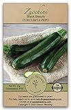 Photo Gaea's Blessing Seeds - Zucchini Seeds - Non-GMO - with Easy to Follow Planting Instructions - Heirloom Black Beauty Summer Squash 97% Germination Rate, best price $5.99, bestseller 2025