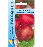 Photo Sachet de graines de Oignon rouge foncé de Brunswick - 4 g - légume racine - LES GRAINES BOCQUET, meilleur prix 3,99 € (997,50 € / kg), best-seller 2024