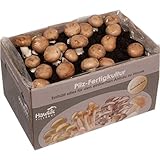 Foto Große 10kg Steinchampignon Pilzzuchtbox XXL I Hawlik Pilzbrut I kinderleicht Pilze selber züchten I ohne Vorkenntnisse I Geschenk, bester Preis 24,90 € (2,49 € / kg), Bestseller 2025