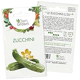 Foto Zucchini Samen: Premium Zucchini Saatgut für die Anzucht von ca. 5 Zucchini Pflanzen – Samenfeste Gemüse Samen – Samen Gemüse – Gemüse Pflanzen Samen für Gemüse Anzucht – Gemüse Saatgut von OwnGrown…, bester Preis 2,35 €, Bestseller 2024