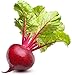 Ruby Queen Beet Seeds | Beet Seeds for Planting Outdoor Gardens | Heirloom & Non-GMO | Planting Instructions Included new 2024