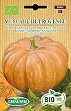 Foto Germisem Orgánica Muscade de Provence Semillas de Calabaza 4 g, ECBIO4004, mejor precio 3,99 €, éxito de ventas 2025