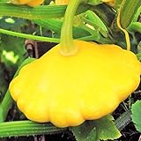 Photo TomorrowSeeds - Sunburst Yellow Patty Pan Seeds - 60+ Count Packet - Bush Scallop Squash Summer Golden Patisson Patison Lemon Scallopini, best price $8.80 ($0.15 / Count), bestseller 2024