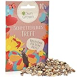 Foto Schmetterlingstreff Blumenmischung: 10g Premium Schmetterling Blumensamen Saatgut - Insektenfreundliches Bienenweide Saatgut, Blumenwiese Samen mehrjährig und einjährig - Wildblumensamen von OwnGrown, bester Preis 2,36 € (236,00 € / kg), Bestseller 2024