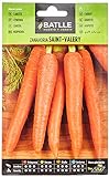 Foto Zanahoria SAINT VALERY, mejor precio 1,60 €, éxito de ventas 2024